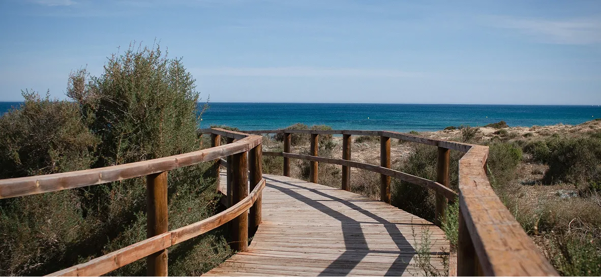 Playas de Elche